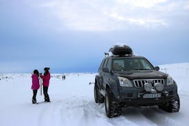  Mývatn-järvi ja tehokas Dettifoss-päiväretki Akureyrista
