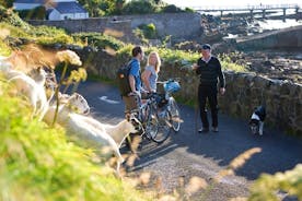 Cykle Inishbofin-øen. Connemara, Galway. Selvstyret. Fuld dag.