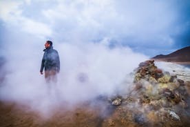 Gunnuhver islandese: tour della terra del fuoco