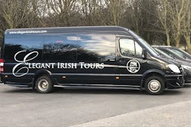 (Grupo Pequeno): Shore Tour de Cork: Castelo de Blarney e Destilaria Jameson