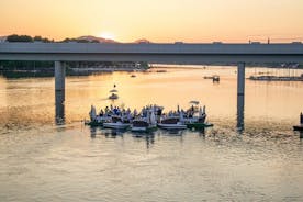 Floating Dinner Vienna: Private Dinning Experience on Danube