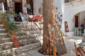 Visite privée d'une demi-journée à Naxos