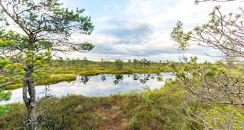 Self Guided Walking Holiday in Curonian Spit 7 Days