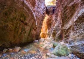 Avakas Gorge Nature Trail