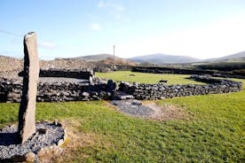 Half Day Private Tour to Dingle Peninsula and Slea Head