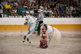 Andalusisk hest og flamencoshow med transport