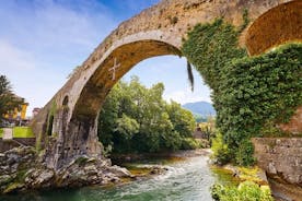 Full-Day Nature Tour: Picos de Europa National Park