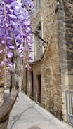 Le Rousseau Sarlat