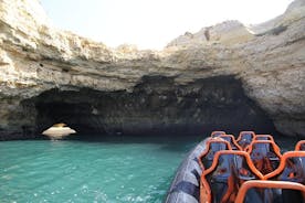 Dolphin Watching and Cave Tour from Vilamoura 