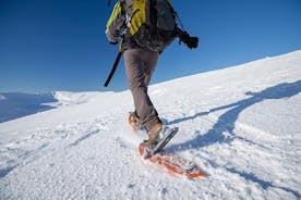 特罗姆瑟引导雪鞋之旅