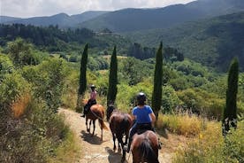 Ridning i Toscana för erfarna ryttare: Heldagstur
