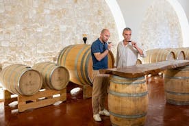  アルベロベッロ ワイナリーでのワインと料理のペアリング体験