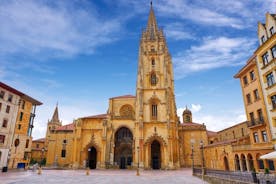 Guided tour of Oviedo