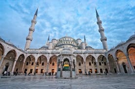 Tour privé : visite d'Istanbul en un jour comprenant la Mosquée Bleue, Sainte-Sophie et le Palais de Topkapi