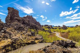 Tour classico del lago Myvatn di un'intera giornata