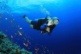 Kusadasi Scuba Diving Tour By Local Experts