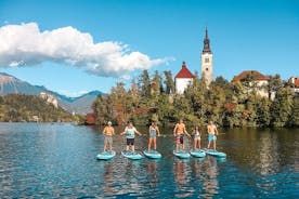 Lección y visita al lago Bled Stand-Up Paddle Boarding