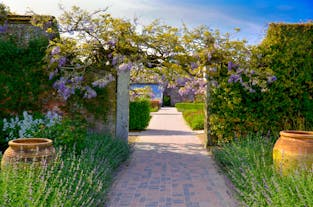 The Lost Gardens of Heligan