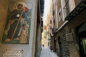 Privé-ervaring Barcelona Picasso met deskundige lokale gids