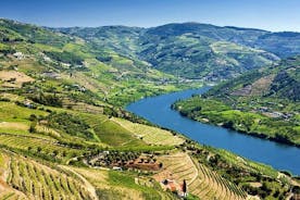 점심 식사, 와인 시음 및 리버 크루즈가 포함된 완전한 Douro Valley 와인 투어