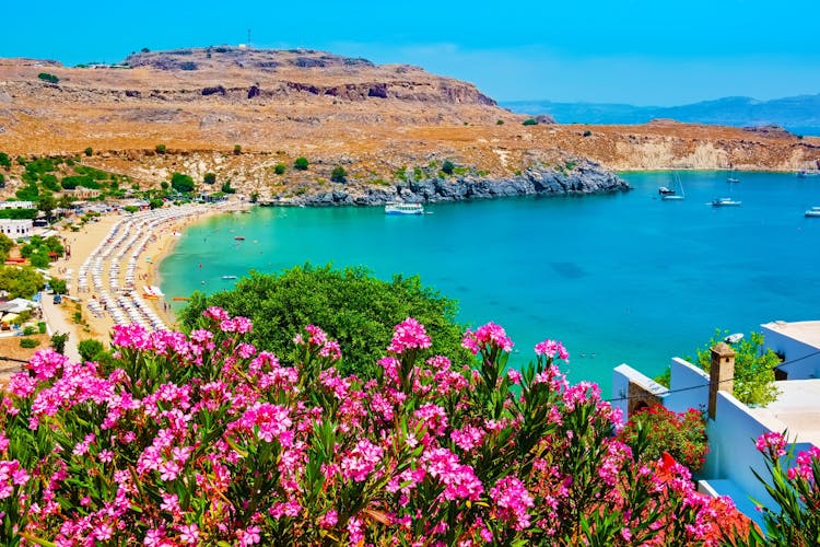 Photo of view of Lindos Bay with flowers. Lindos, Rhodes, Dodecanese Islands, Greece, Europe
