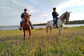 Paseo privado a caballo en la reserva del parque natural de Madrid