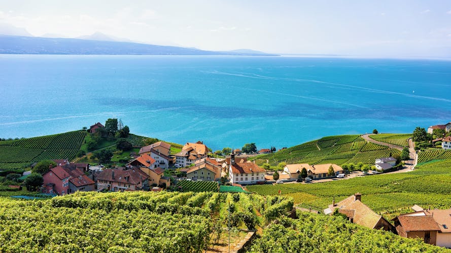 Photo of Lake Geneva and Swiss mountains, Lavaux-Oron district in Switzerland