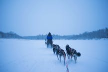 Passeios de trenó puxado por cães em Rovaniemi, Finlândia