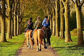 ウンブリア-ウンブリアの素晴らしい渓谷を走る馬、昼食込み