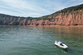 Excursion de luxe en côtes côtières jusqu'à la baie de Babbacombe depuis la marina d'Exmouth