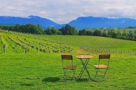 品尝非传统的普罗塞克葡萄酒并欣赏葡萄园的壮丽景色