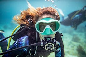 3-timmars guidad PADI-dykningsupplevelse på Teneriffa