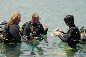 Experiencia de submarinismo para principiantes en Gran Canaria