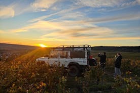 Champagnesmagning ved solnedgang i vingården