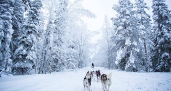 Tailor-Made Private Finland Tour to Fairy Tale Lapland