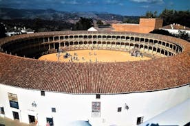 Tour privado em Ronda e em Gibraltar saindo de Marbella