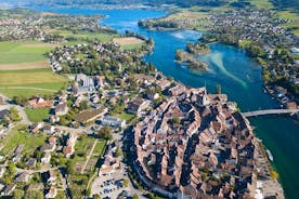 Rhine Falls and Stein am Rhein (Private Tour)