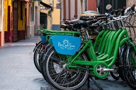 Trevlig stadstur med elcykel med en lokal guide