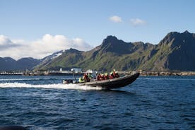 Cruzeiro RIB Sea Eagle Safari Trollfjord