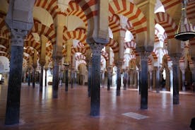 Historische tour met Grote Moskee en kathedraal van Cordoba
