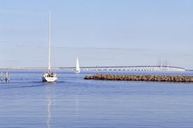 Malmö & Lund Tour, Crossing the Øresund Bridge to Sweden