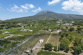 Økologisk vinsmagning og frokostoplevelse på Mt Vesuvius