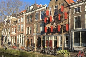 Vai in bicicletta attraverso Delft! Culturalmente rilassato con una guida professionale!