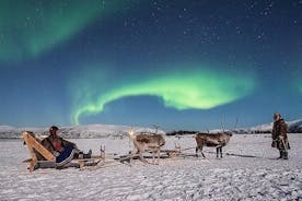 Night Reindeer Sledding med Camp Dinner og sjanse for Northern Lights