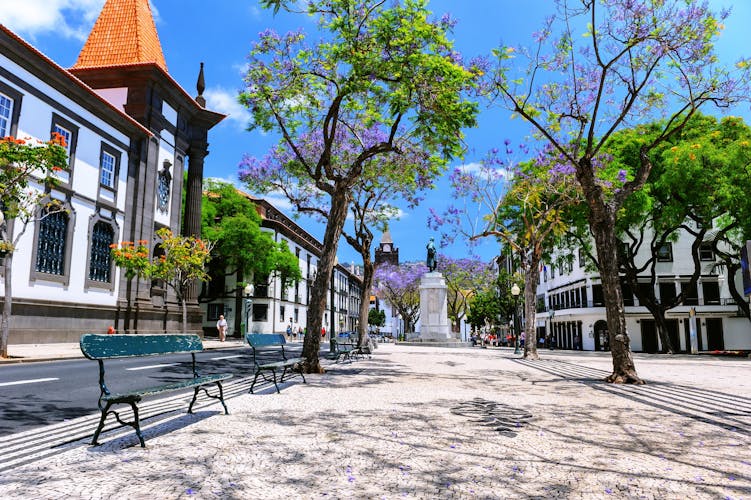 Photo of Funchal cityscape with main street at sunny summer day. 