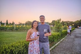 Tour: Siena bij zonsondergang en Chianti-wijn met diner vanuit Florence