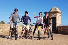 Excursão turística de bicicleta elétrica de 2 horas em Palma de Maiorca