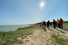 Normandie Amerikanska och brittiska DDay Beaches Halvdagstur från Bayeux