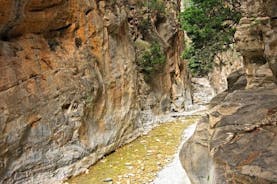 Viagem de um Dia à Caminhada no Desfiladeiro de Imbros, incluindo o tradicional lanche cretense