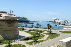 Civitavecchia Sea Port Privat transfer till Rom